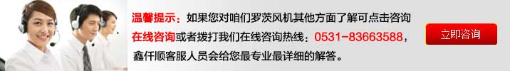 羅茨91香蕉视频破解版廠家溝通客服 氣力輸送羅茨鼓91香蕉视频破解版(圖11)